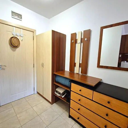 Complex Rose サニービーチ